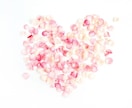 恋愛＊潜在意識＊未来//タロットと霊視で占います ♥SNSにて３択リーディング更新中♥ココナラはじめました！ イメージ10