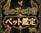 ペットの本音と気持ちを霊視であなたへお届けします 亡くなった子も今いる子も。あの子の想いとあなたの心両方視ます イメージ1