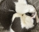 あなたの人生の相談にのります 四柱推命で本来の自分を知り、生き方を考えよう イメージ1