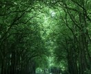 悩み相談にのります 国際的な活動経験に基づくアドバイスを致します イメージ6
