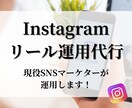 フォロワー13万人の僕があなたのインスタ伸ばします リール特化！プロが初期設計から台本・動画作成まで代行します！ イメージ1