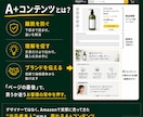 Amazon専門｜現役セラーが売れるA+作ります 30ブランド・300商品｜実践者が構成から設計するA+ イメージ3