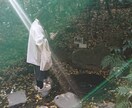 迷えるあなたの未来を導きます 一問一答宇宙エネルギーで今あなたに必要な言葉を送ります イメージ2