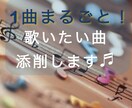 初心者〜中級者向け♪練習したい曲添削します 歌詞に歌のポイントを記入したファイルをお送りします。 イメージ1