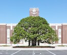 京都大学入試の対策のサポートをします 【現役京大生が入試突破のための手助けします】 イメージ1