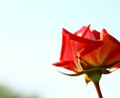 あの人とのご縁・過去世の繋がりをお伝えます 過去から続く記憶が今世に及ぼす影響と、活かし方 イメージ1