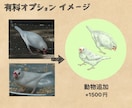 写真を元にあなたのペットのアイコン制作を行います あなたのペットの似顔絵を描きます！リアル調デジタル手描き イメージ7