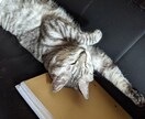どうにもならないあなたの気持ちお聴きします あなたは自分の気持ちを拒んでいませんか？ イメージ7