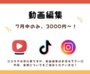 シンプルかつ、かわいらしい雰囲気に仕上げられます ココラナ初心者ですが、動画編集でバズったことが何度もあります イメージ1
