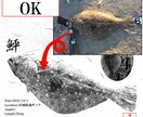 釣り好き必見！世界で一つオリジナル電子魚拓作ります 釣った時の喜びや感動を、魚拓にしちゃいませんか？ イメージ2