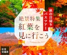 クリックされるバナーデザイン制作承ります 費用は抑えたいけど高品質デザインは譲れない！…そんなあなたへ イメージ6