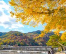 秘めた霊能力を最大限覚醒❖霊感力開花覚醒鑑定します 霊能力開花鑑定❖霊的体質改善と潜在能力を最大限上昇❖霊力継承 イメージ7