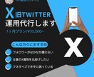 Xの戦略設計〜投稿・反応対応まで一貫サポートします 成果直結型X運用代行｜戦略設計〜投稿・反応対応までサポート イメージ1
