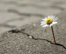 前向きになれるヒントをやさしくお伝えします 無理せず心の声に耳を傾けて。きっと大丈夫。 イメージ4