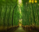 強制縁結び【3日間連続祈祷】狂おしい程に愛されます 秘術×祈祷による愛縁封結祈祷|愛の力を高め、溺愛させます イメージ5