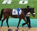 競馬予想のお手伝いをします 一緒に印、買い目を決めませんか？ イメージ1