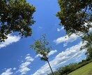 あなたを全肯定します 死にかけたことあるからこそあなたの大事さ一緒に探します イメージ4
