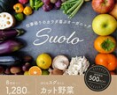 明るい色使いのバナー制作します 鮮やかな配色のバナーを制作いたします！ イメージ6