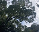 あなたの心をのぞきます 一言タロット⭐︎深層タロット【ヒトタロ】 イメージ2