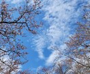 浄化と癒しのエネルギーをアチューメントします 九柱の龍神様方のエネルギーが合わさった、力強いエネルギーです イメージ2