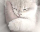 30分集中であなたのお話ききます ♡あなたの癒される場所♡ありのままでいれる場所♡ イメージ1