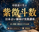 中国語で学ぶ紫微斗数｜日本占い師向け実践講座します 紫微斗数占い師になりたい人に、占い用語や鑑定コツを伝授します イメージ1