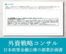 プロが日本政策金融公庫の創業計画書を作ります 戦略コンサルが作成／新規出品のため実績10件まで半額適用中！ イメージ10
