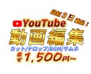 格安でYouTuberの動画編集します ユーチューバー応援！１５００円〜から動画編集いたします イメージ1