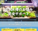 プロクリエイターがアクアリウムのお悩み伺います 淡水の水槽ならなんでもおまかせください！ イメージ1