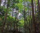 少しのお話でも何でも聞きます ストレスで溜まった、心のケアをしませんか？ イメージ1