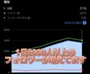 どんなジャンルでも伸ばせます 私が2年間得た知識を全て貴方に教えます イメージ3