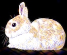 ペット・動物を三原色キャンバス風で描きます 三原色ならではの、素朴で鮮やかなふわっとした発色です。 イメージ1