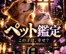 ペットの気持ち｜あの子があなたに伝える真実を視ます 愛するペットの本当の気持ち・家族への想い・今望んでいること イメージ1