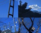 綺麗で雰囲気のある4枚写真を制作します 綺麗なものが好きな方、雰囲気のある写真が好きな方など向け イメージ6