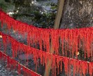 痩せたいあなたに1ヶ月の特別セッションを行います 強力浄化のスペシャル施術で癒します イメージ6