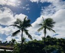 国際恋愛・海外生活のお悩み、やさしく相談にのります ひとりで抱えがちな気持ち、安心して話せる場所です イメージ1