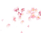 桜のイラストを描きます 想いが咲く、桜の一枚をお手元に イメージ4