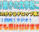切り抜きの文字起こしを肩代わりします 時間のかかる文字起こしやらせてください！ イメージ1