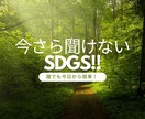 誰でもできる！はじめてのSDGs！！をお伝えします 「SDGs」の基礎知識と普段できる具体策をお伝えします。 イメージ1