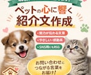 ペットの魅力が伝わる感動紹介文を作成します 現役コンサルタントがペットの心に響く紹介文を書きます。 イメージ1