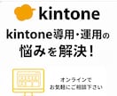 kintone運用のお悩み相談のります kintoneの運用方法のご相談をzoomでお受けします イメージ1