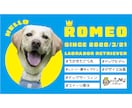 ウチの子名刺 作ります 【ウチの子名刺 ビッグフェイスver.】 イメージ8