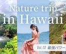 Vlog用や女性向けデザイン得意！サムネ作ります 世界観を大切にした、目を惹くサムネイルで動画をもっと魅力的に イメージ5