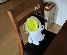 肌に優しく食器洗いの時短を叶えます NO洗剤で「キュッ」と音が鳴るまでピカピカに洗えます！ イメージ3