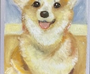 愛するペットのアートをお描きします 写真を元に、リッチなオイルパステルアートを作ります。 イメージ5