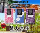 修正無制限！集客重視のバナー画像を制作します 目的やターゲット層に合う洗練されたデザインを作成します イメージ2