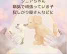貴方の手が愛犬専属セラピストに。癒しの力、開きます 西洋式臼井レイキを遠隔伝授。ワンちゃんへの施術テキストつき♪ イメージ2