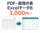 PDF・画像の表を集計できるExcelに変換します 請求書・明細・一覧表を、並べ替え・集計できる形に イメージ1