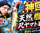 人気映像クリエイターがサムネイル制作します エモくバズるサムネでライバルに差をつけろ！ イメージ8