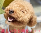 孤独なあなたのお話、何でもお聞きします 孤独・寂しい・不安・悩み・相談・・・お試しからどうぞ！ イメージ4